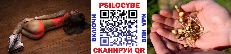 Псилоцибиновые грибы MAGIC MUSHROOMS  где можно купить   Сорочинск 